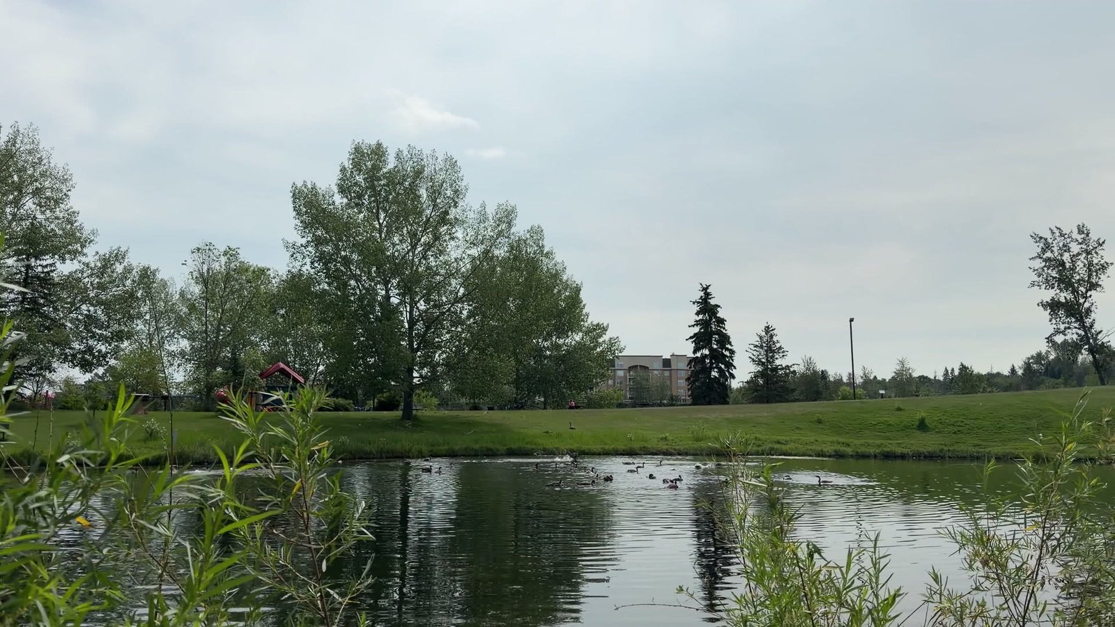 Parks & ponds