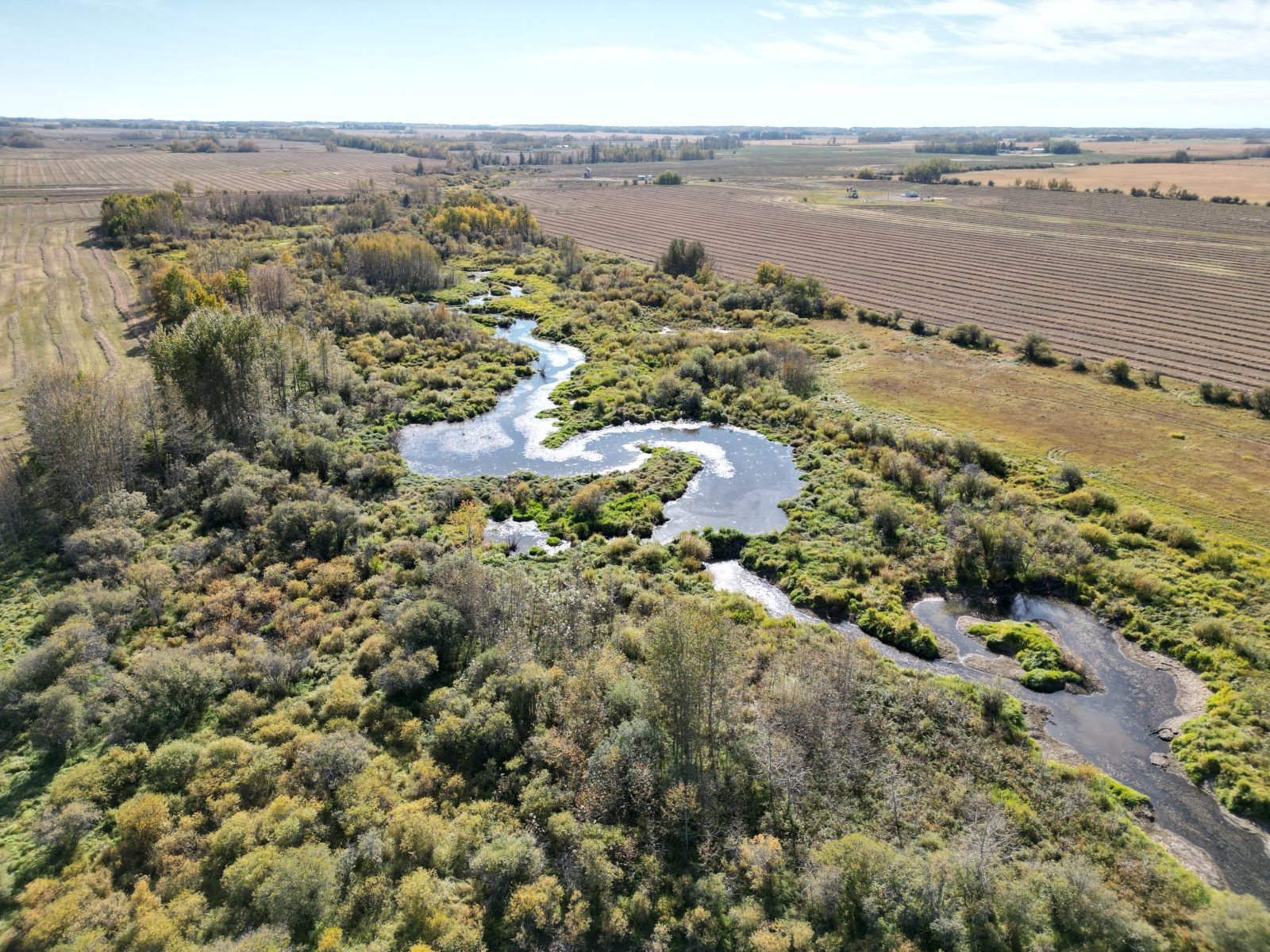Creek through farmland, From the air, Red Deer County